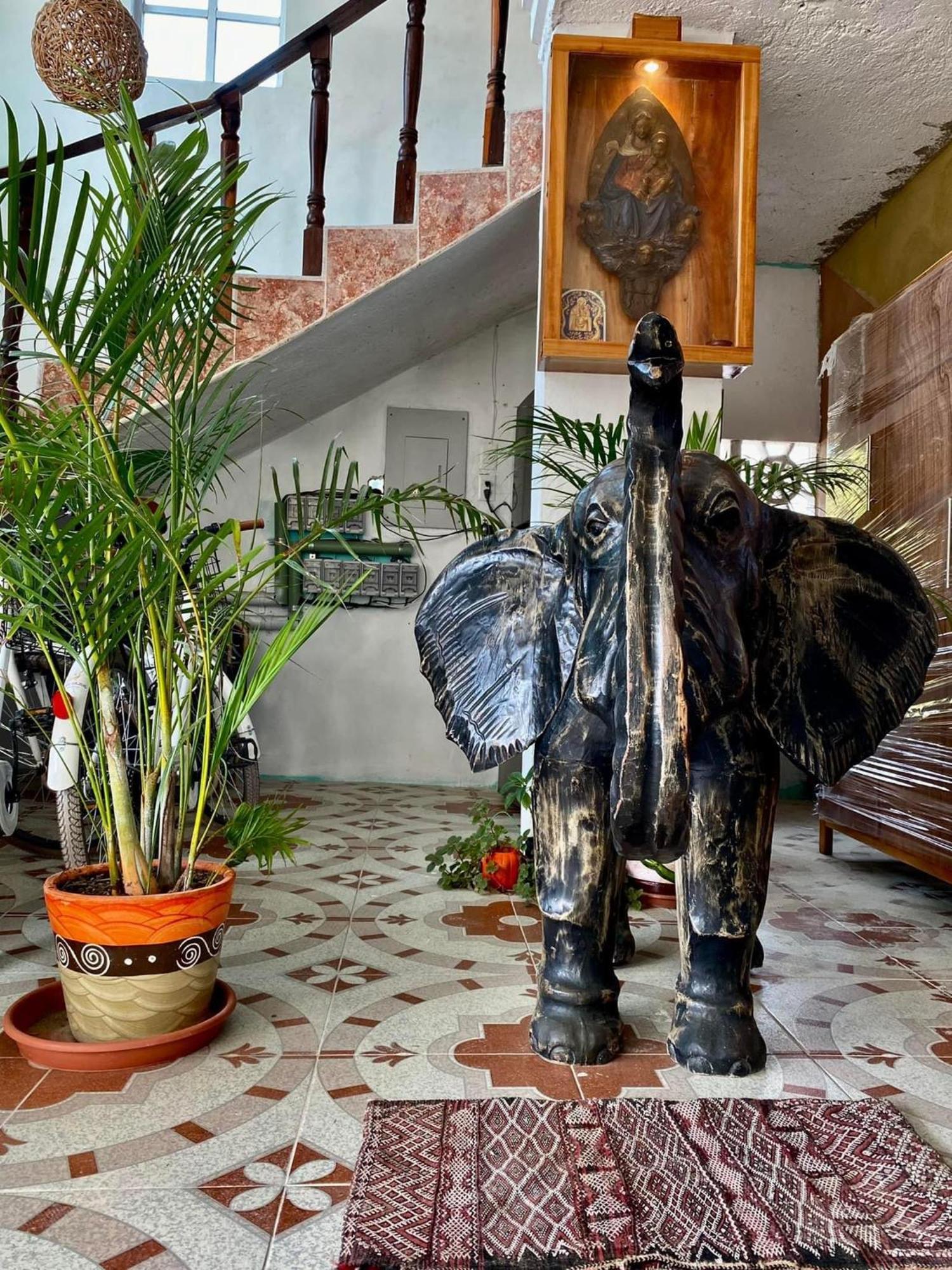 Casa Gajah Hotאל קויו מראה חיצוני תמונה